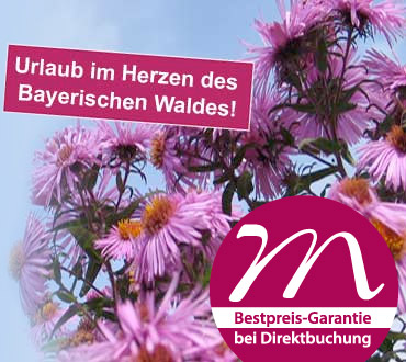 Urlaub im Herzen des Bayerischen Waldes